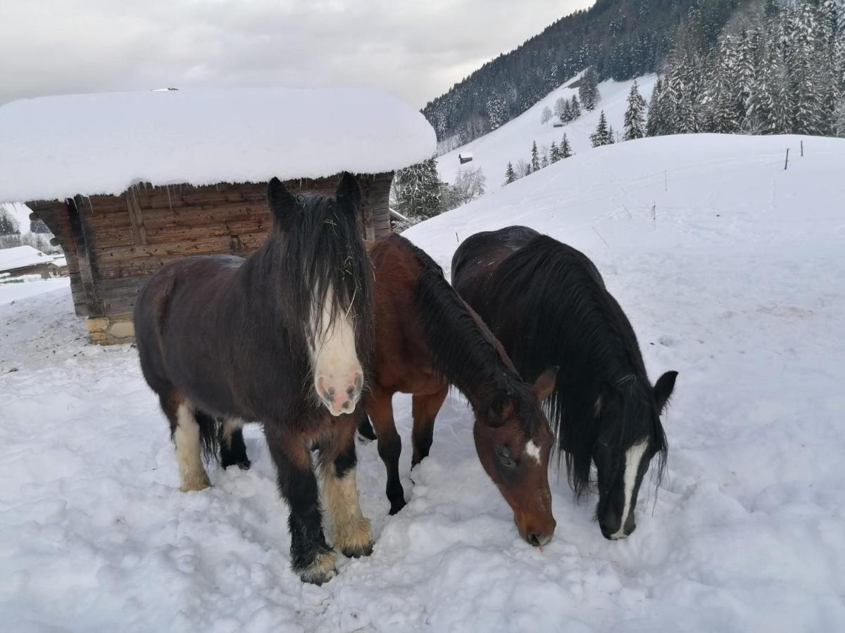 Au Pre Des Chevaux Bed & Breakfast Chateau-d'Oex Exterior photo