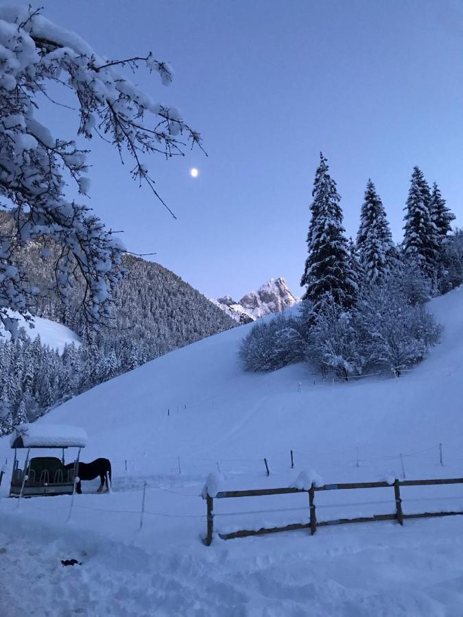 Au Pre Des Chevaux Bed & Breakfast Chateau-d'Oex Exterior photo