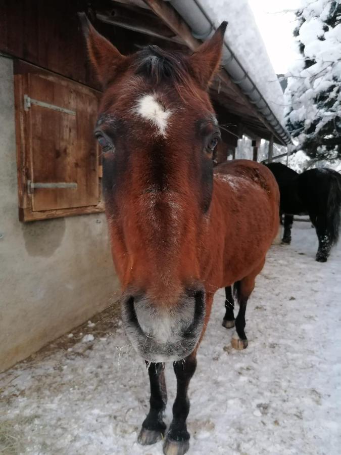 Au Pre Des Chevaux Bed & Breakfast Chateau-d'Oex Exterior photo