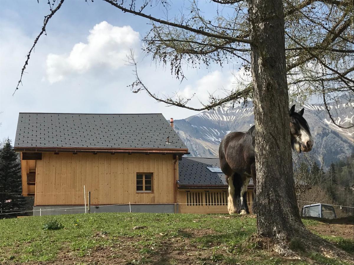 Au Pre Des Chevaux Bed & Breakfast Chateau-d'Oex Exterior photo